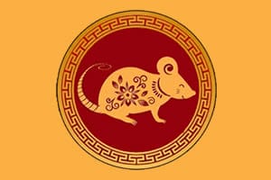 Year of the Metal Rat